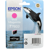 Epson T7603 Druckerpatrone (C13T76034010) · Vivid Magenta