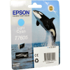 Epson T7605 Druckerpatrone (C13T76054010) · Light Cyan