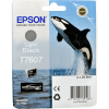 Epson T7607 Druckerpatrone (C13T76074010) · Light Black