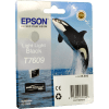 Epson T7609 Druckerpatrone (C13T76094010) · Light Light Black